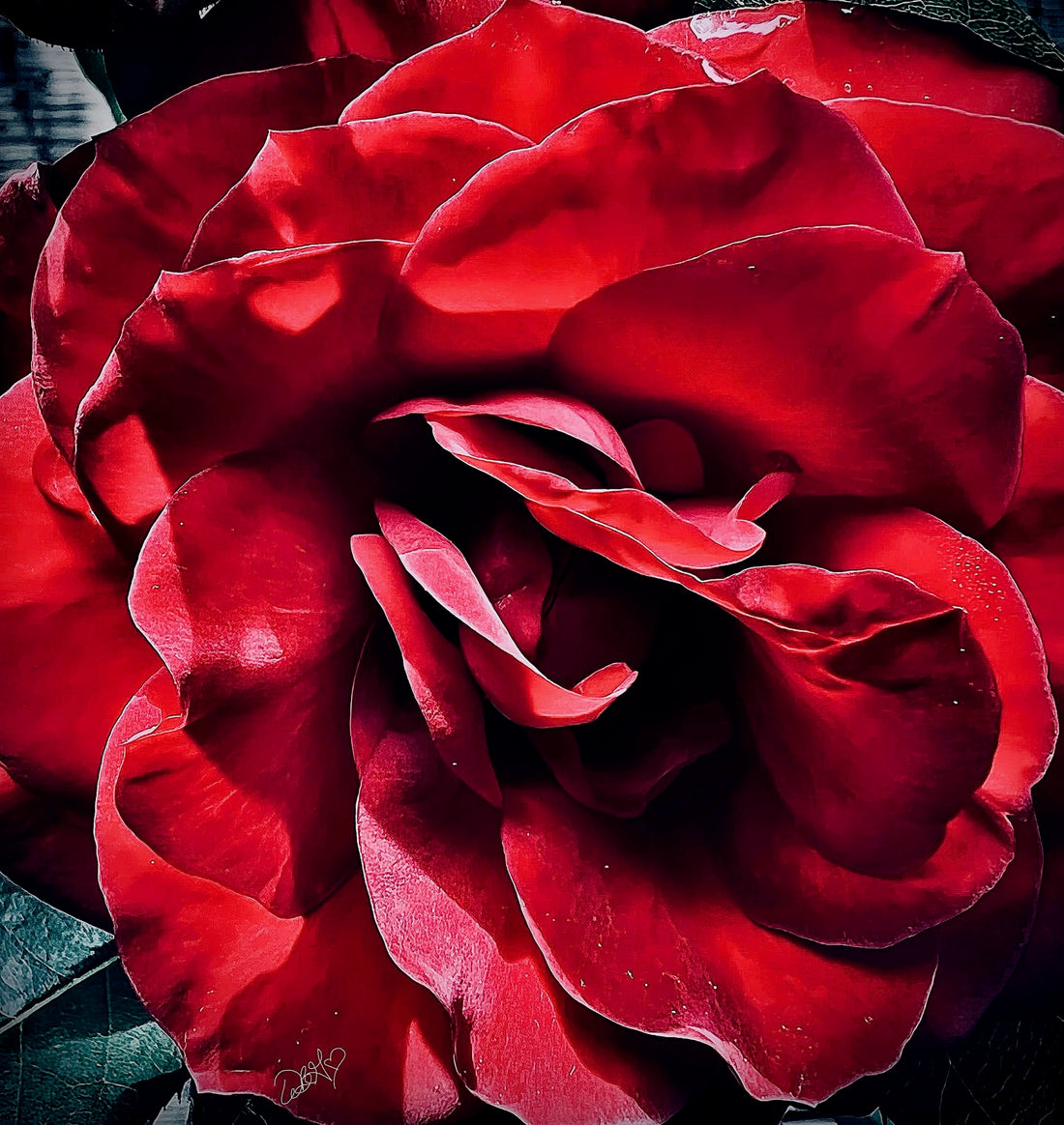 inspired floral designs nyc