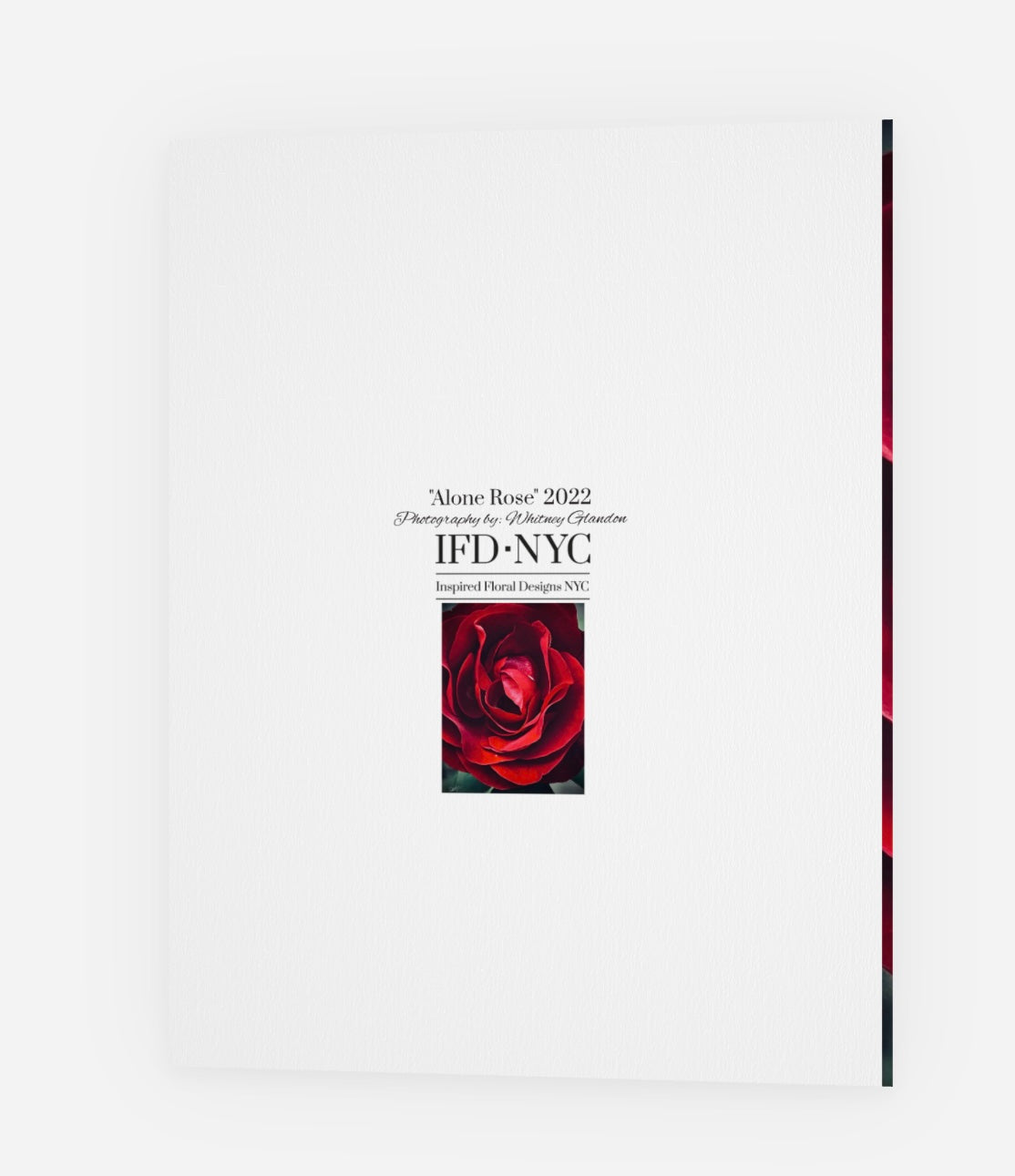 Floral Greeting Cards 'Alone Rose' - set of 5