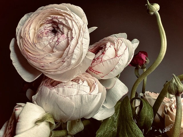 "Beauty in Abundance" Floral Greeting Card