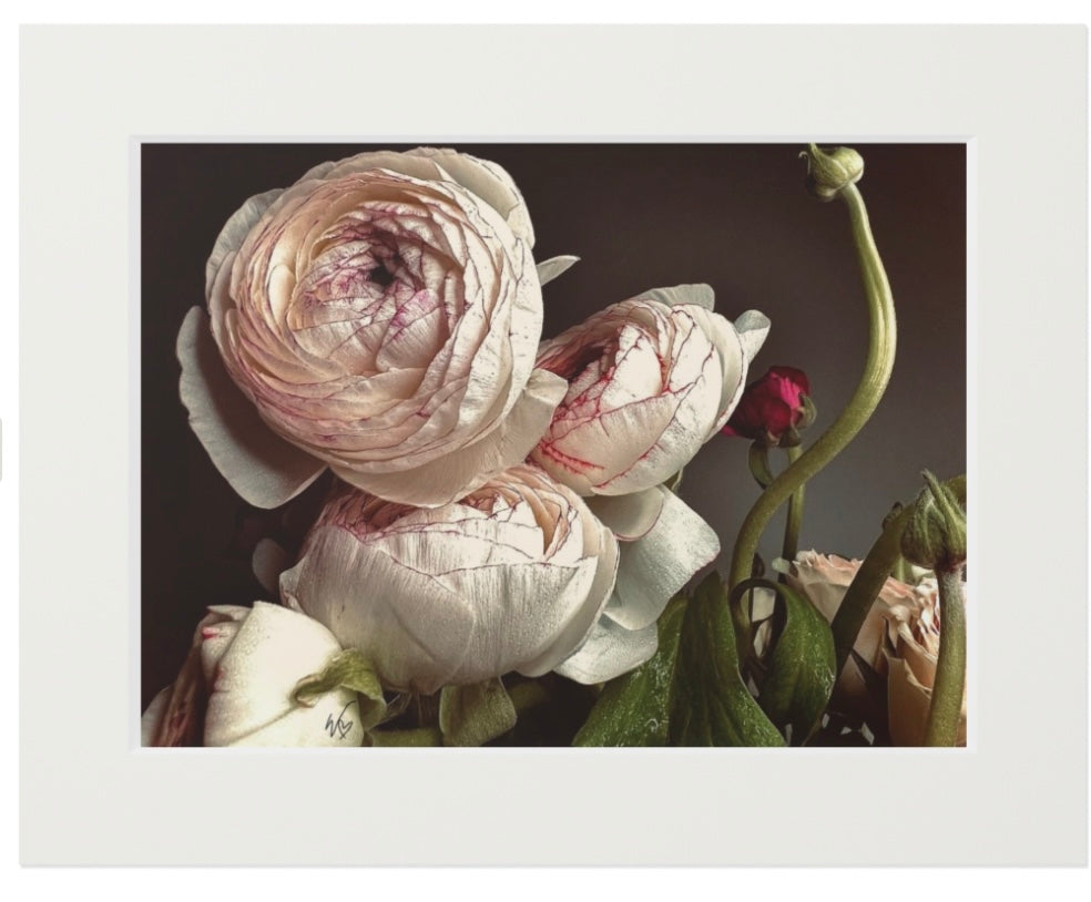 11X14 IFD-NYC Giclée Prints