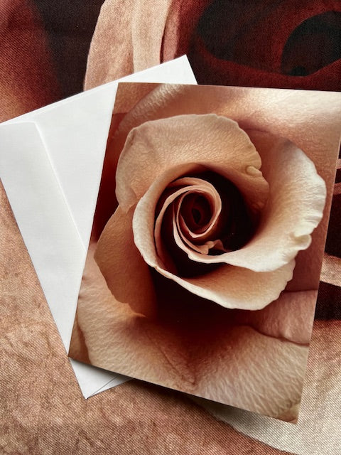 inspired floral designs nyc greeting cards rose infinite beauty