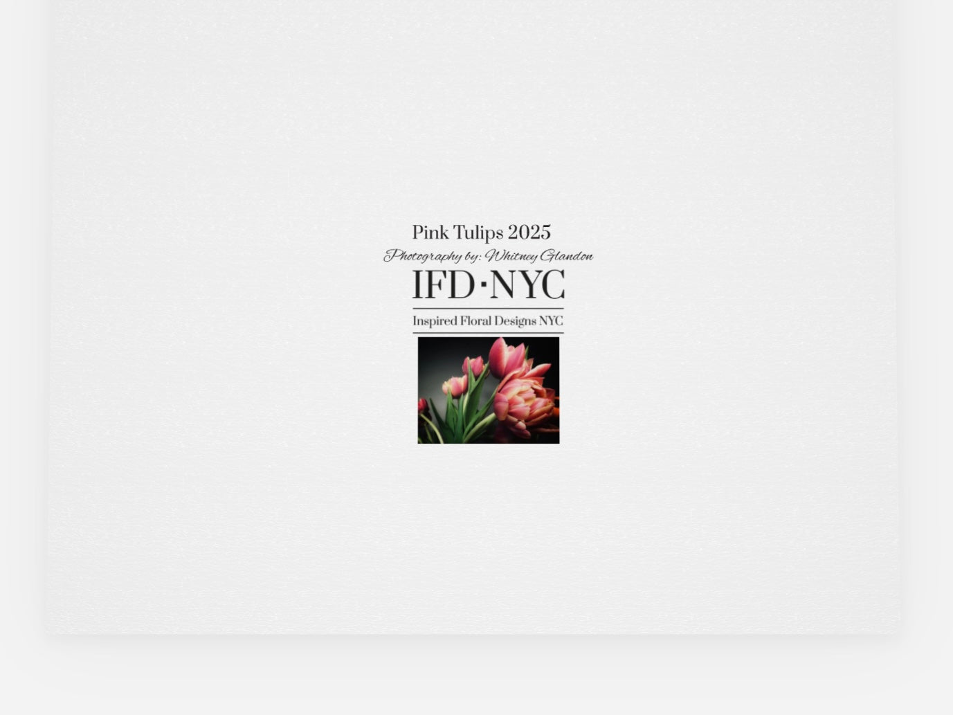 'Pink Tulips' Floral Greeting Card - set of 5