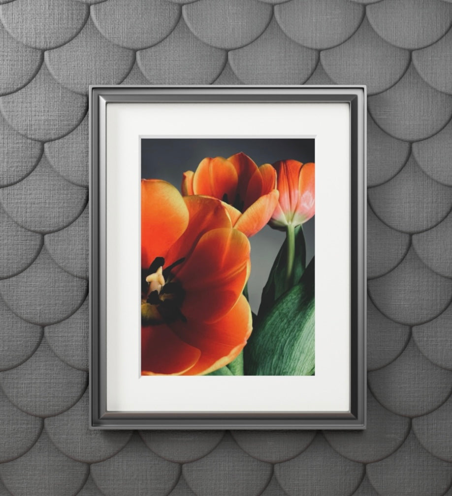 11X14 IFD-NYC Giclée Prints