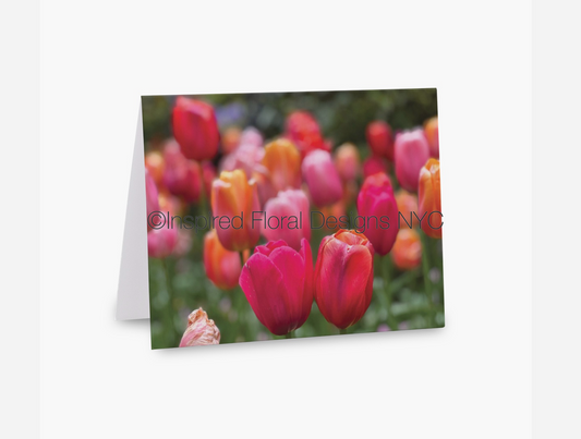 Greeting card with colorful tulips on a white background