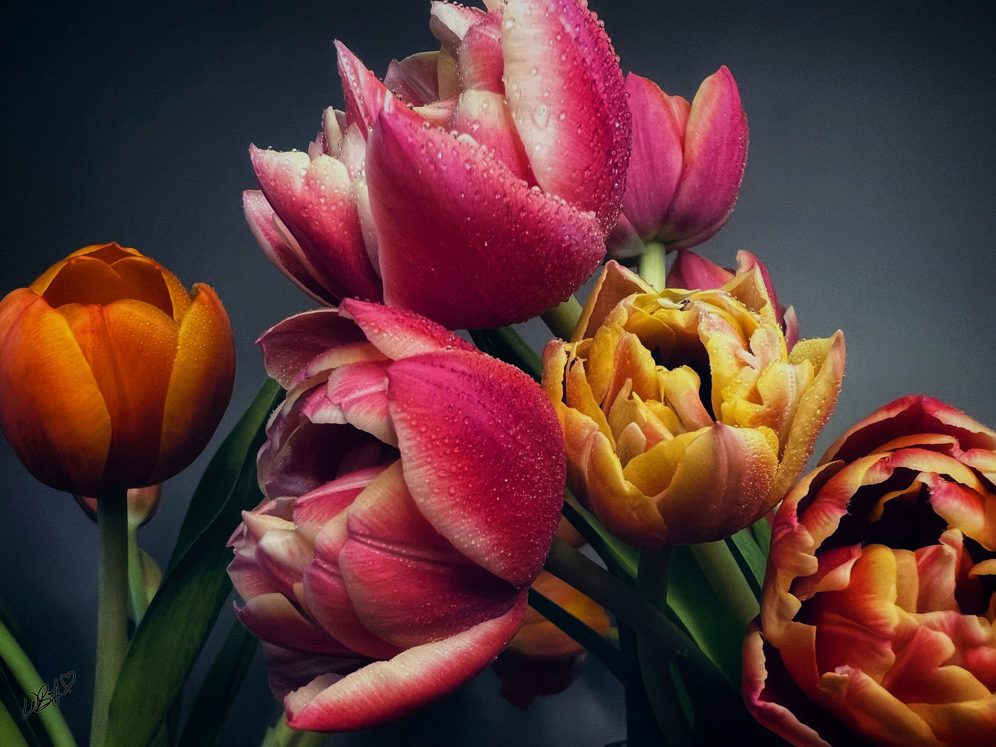 Floral Greeting Cards 'Ensemble' - set of 5