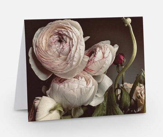 'Dark and Light' Floral Greeting Cards "Beauty in Abundance"