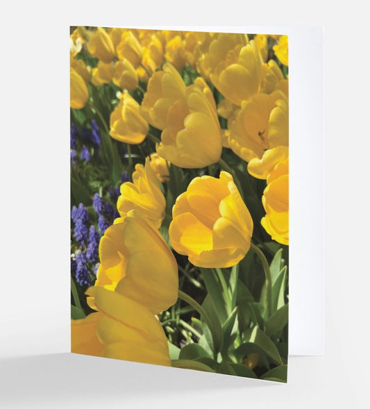 'Beauty in the Midst of Chaos' Floral Greeting Cards "Just Look Up"