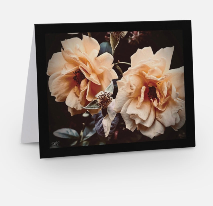 'Dark and Light' Floral Greeting Card "The Duet"