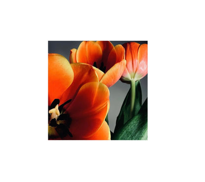 beleza floral silk scarf inspired floral designs nyc tulips orange