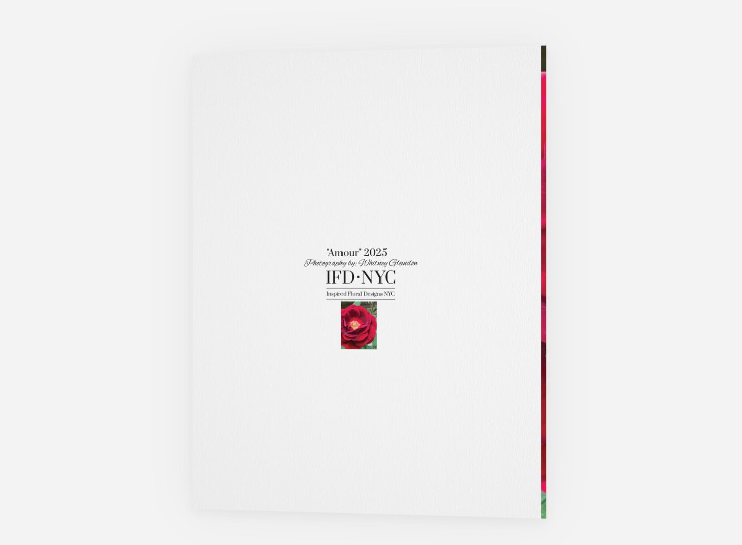 'Amour' Floral Greeting Card- set of 5