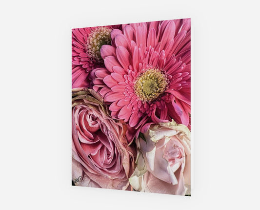 Close-up of pink flowers with a white background greeting cards
