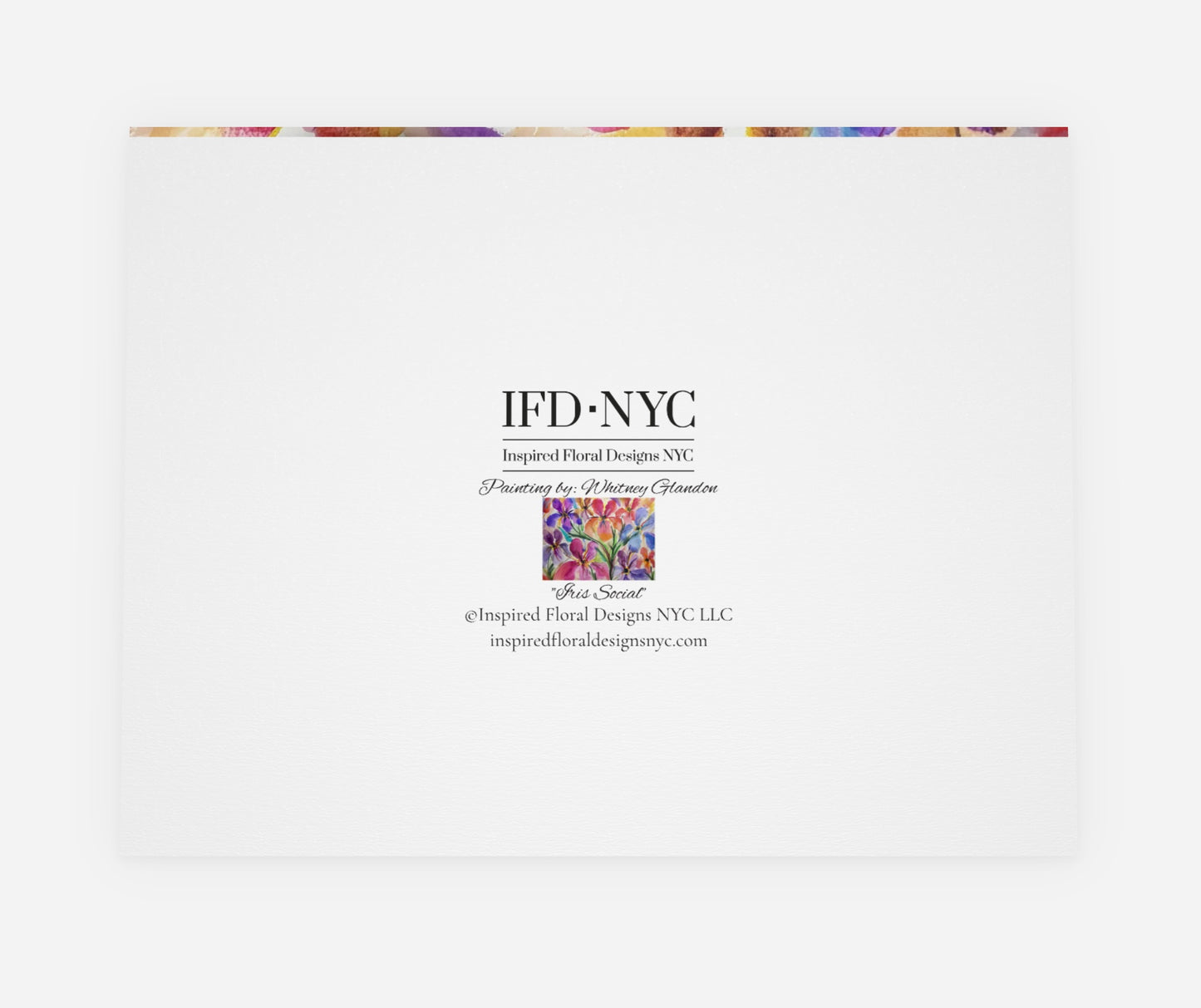 IFD NYC logo on a white background with a colorful horizontal line at the top.