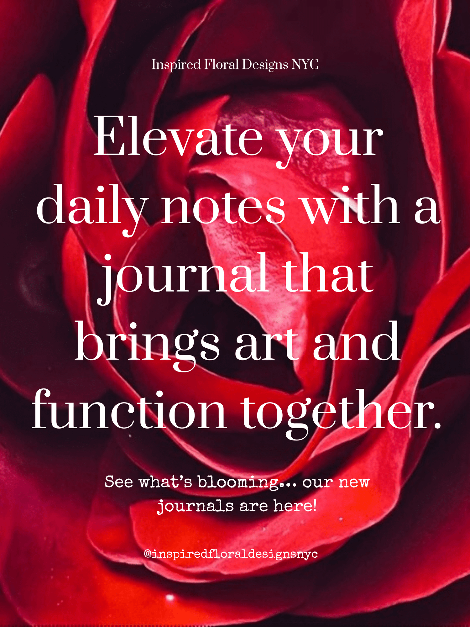 Red rose with promotional text for Inspired Floral Designs NYC journals