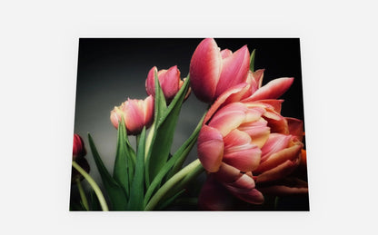 'Pink Tulips' Floral Greeting Card - set of 5