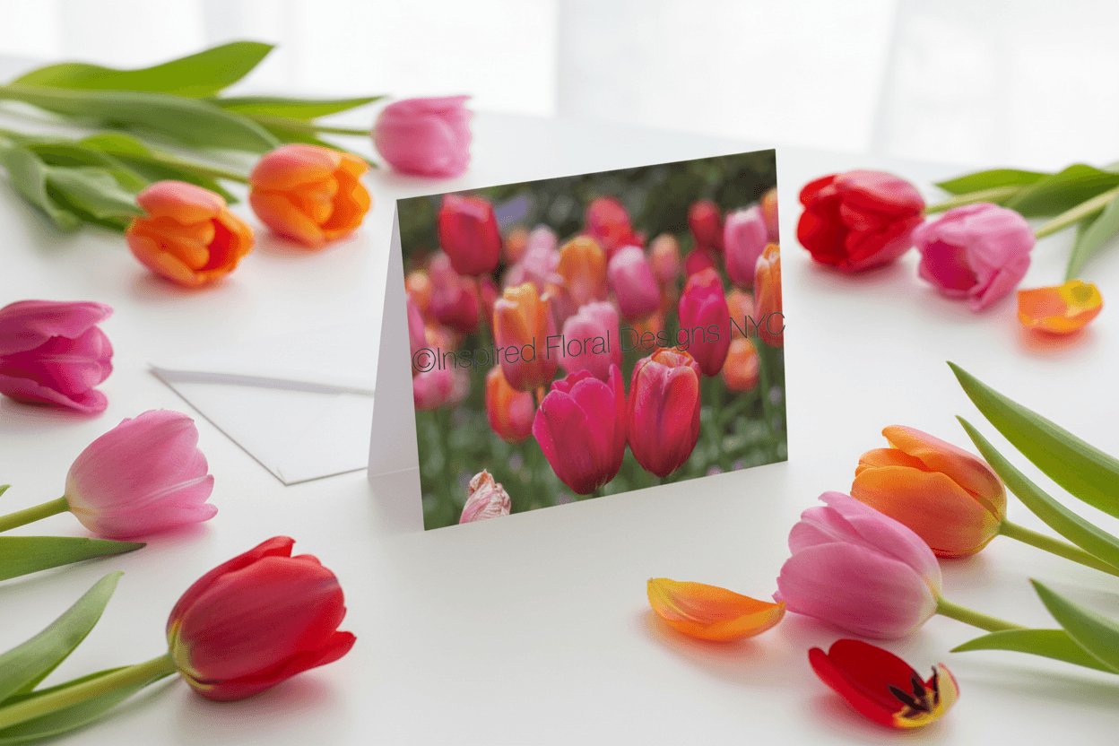 'Soul Mates' Greeting Cards- set of 5