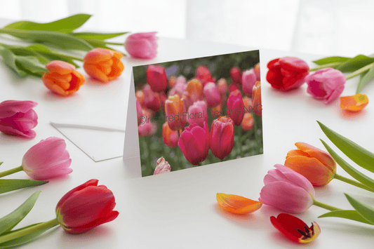 'Soul Mates' Greeting Cards- set of 5
