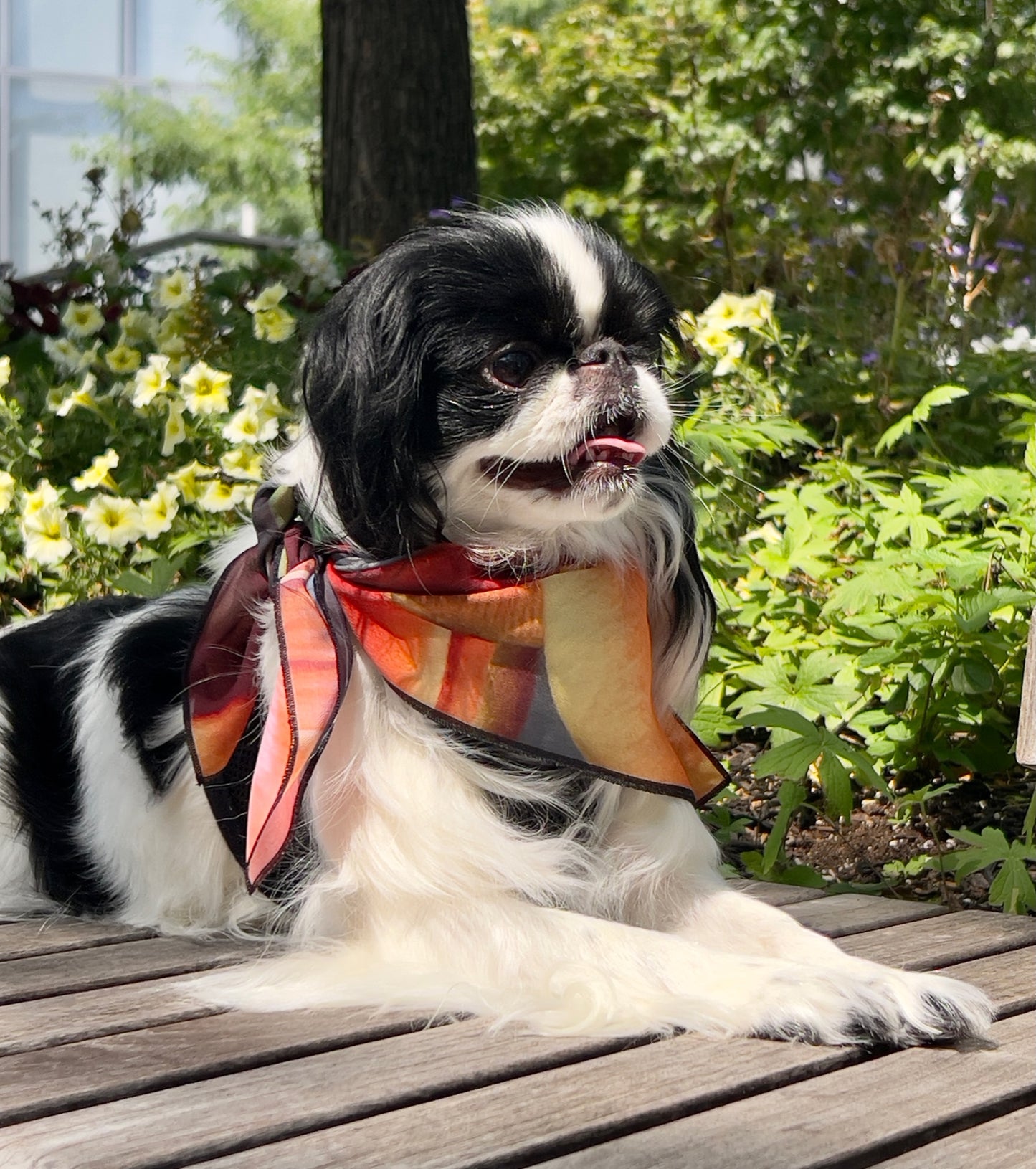 beleza scarf from inspired floral designs nyc perfect for human or your dog sushi is wearing size 21x21 bright stunning colors vegan georgette