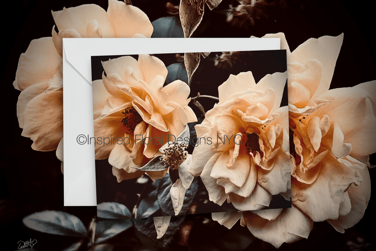Close-up of peach-colored roses with a dark background by whitney inspired floral designs nyc copyright
