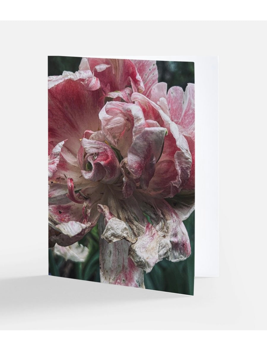 The 'Wilting Beauty' Floral Greeting Card "Goddess"