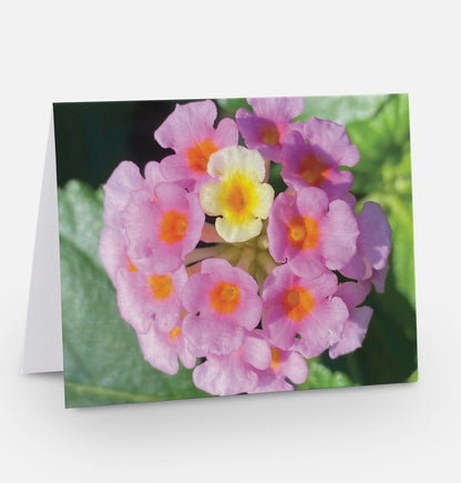 'Beauty in the Midst of Chaos' Floral Greeting Card "Delicate"